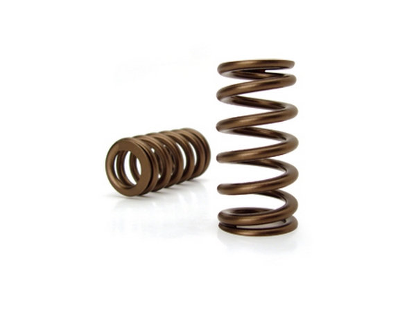 Valve Springs, H/L FORD 3V BEEHIVE